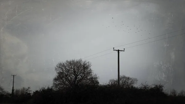 영국 시골의 음산하고 추운 겨울날에는 전신주가 멀리 까지뻗어 있는데, 위에는 새 떼가 있습니다. 희미하게, 초점에서 벗어나, 풍화되고, 텍스처화 된 편집 과 함께 — 스톡 사진