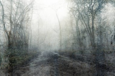 Çamurlu, ürkütücü ormanın içinden geçen bir patika. Esrarengiz bir sisli kış gününde. Kalıplı, eski, grunge, düzenleme.