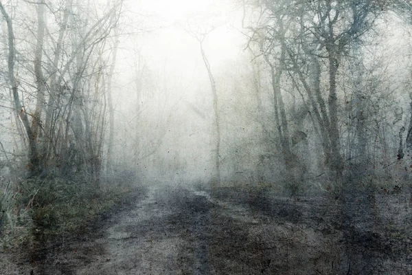 Um caminho lamacento através de uma floresta assustadora e sinistra. Num misterioso nevoeiro, dia de Inverno. Com um texturizado, vintage, grunge, editar . — Fotografia de Stock
