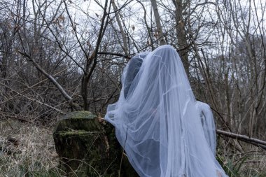 Ormanda bir kütüğün üzerinde oturan hayalet figürünün ürkütücü bir korku konsepti. Bir kış günü.