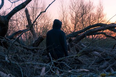 Ürkütücü, kapüşonlu bir figür ağaç dallarının arasında duruyor. Kışın gün batımını seyrediyorum..