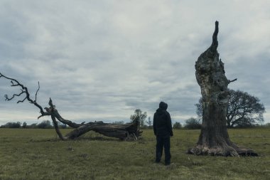 Garip bir kukuletalı figür, tarladaki ölü bir ağaca bakıyor..