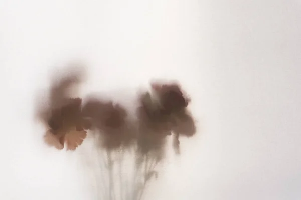 Plastik Çiçekler Yarı Şeffaf Bir Maddeden Çekilmiş Kalıplaşmış Bulanık Durgun — Stok fotoğraf