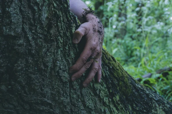 Kirli Bir Adamın Eli Ağaç Gövdesini Tutuyor Karamsar Bir Düzenleme — Stok fotoğraf