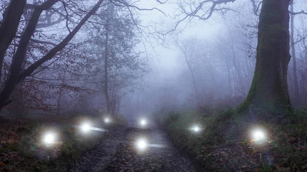 Une Piste Forestière Par Une Soirée Brumeuse Entouré Lumières Surnaturelles — Photo