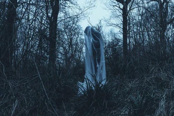 Personnage Fantomatique Étrange Debout Dans Une Forêt Jour Hiver — Photo