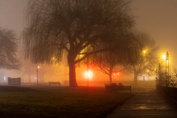 遠くに街路灯が輝く霧に包まれた冬の夜の公園 — ストック写真