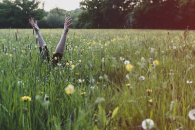 Çiçeklerle çevrili bir çayırda kollarını sallayan insanlar. Bir bahar akşamında. Bulanık, eski bir düzenleme ile