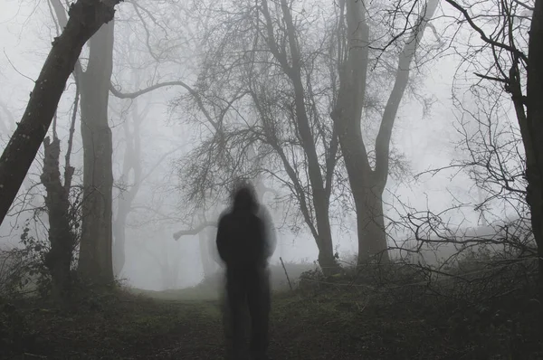 Uma Figura Desfocada Fantasmagórica Uma Floresta Dia Invernos Nebulosos Com — Fotografia de Stock