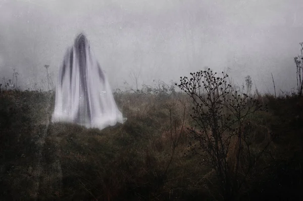 Uma Figura Fantasmagórica Assustadora Misteriosa Campo Dia Invernos Nebulosos Com — Fotografia de Stock