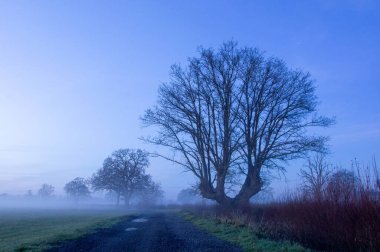 Tarlanın yanında bir patika. Günbatımından hemen sonra İngiliz kırsalındaki bir tarlayı kaplayan sis. Upton Upon Severn, Worcestershire, İngiltere