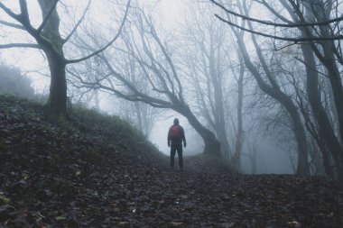 Kapüşonlu bir figür, sırt çantalı, ağaçlık bir yolda kameraya geri dönmüş. Sisli, ürkütücü bir kış gününde.