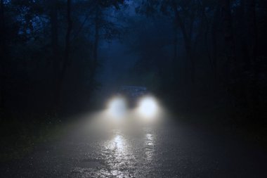 Sisin içinde araba farları parlayan ürkütücü bir orman yolu..