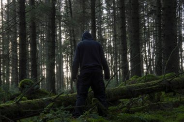 Korkunç bir kış ormanı konsepti. Kapüşonlu korkunç bir figür devrilmiş bir ağacın yanında, kameraya doğru duruyor..