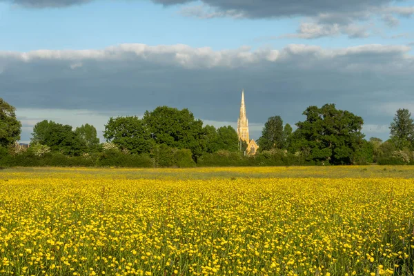 春天的傍晚 一片布满黄色蝴蝶的草地 带着教堂尖塔在远方 Upton Severn — 图库照片