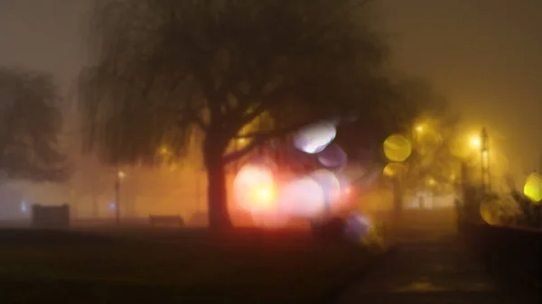 霧深い冬の夜に街灯のある都市公園 ぼんやりしたボケでフォーカス編集なしで — ストック写真