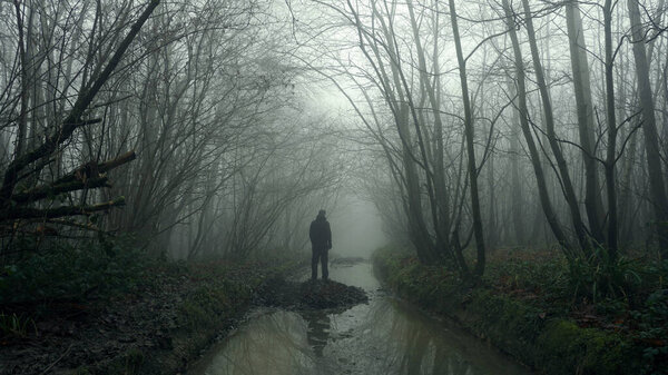 A man reflected in a forest stream. On a spooky foggy misty day. With a dark moody edit.