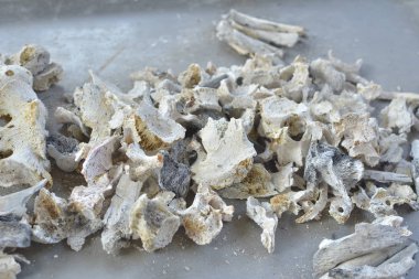 Bir yığın kemik ve külleri ölü yakma töreni