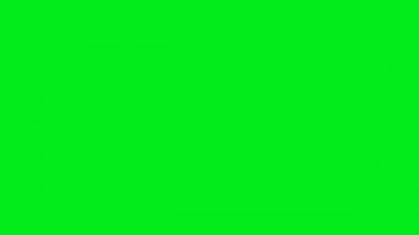 4k yeşil ekran arka planda 0 saniye ile 10 arasında Countdown sayı