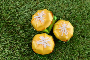 Coin folding with Ribbon is shaped Toddy palm cake (Khanom tan) On green grass for ordination ceremony of buddhism / Khanom Tan is a popular Thai dessert. clipart