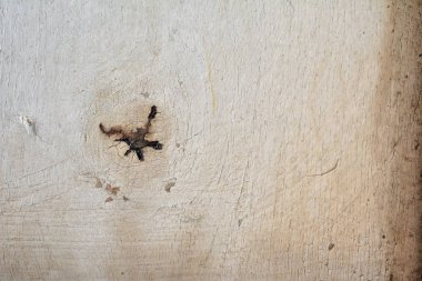 Beyaz eski ahşap doku