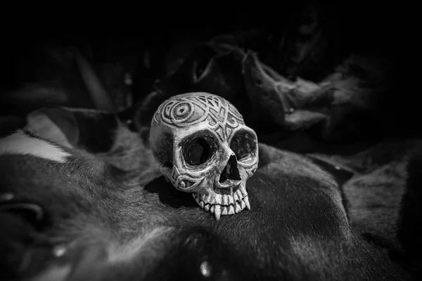 Black and White Human skull Model on cow skin texture — Stock Photo, Image