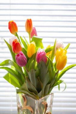 Bahar çiçeği pembe turuncu ve sarı laleler pencerede.