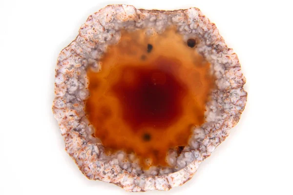 Increíble sección transversal de ágata cristal naranja con retroiluminación aislada sobre fondo blanco . —  Fotos de Stock