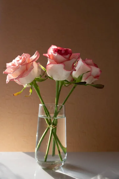 Czerwona romantyczna róża w wazonie ze szkła — Zdjęcie stockowe