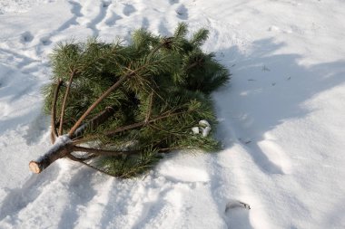 Noel ağacına yeni yıl kutlama sonra çöp