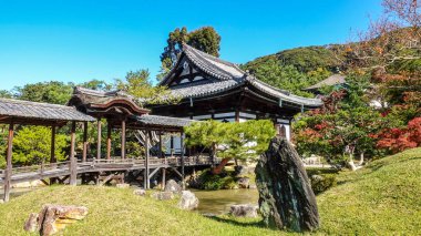 Japonya 'da sonbahar kırmızı akçaağaç yaprakları için Kioto avlanıyor