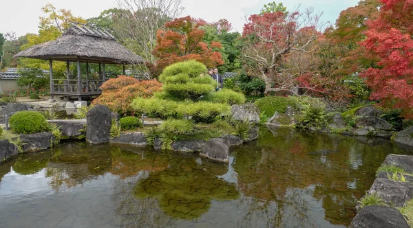 Outono no Japão caçando folhas vermelhas de árvore de bordo Kioto — Fotografia de Stock