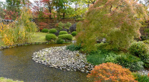 Automne au Japon à la recherche de feuilles rouges d'érable Kioto — Photo