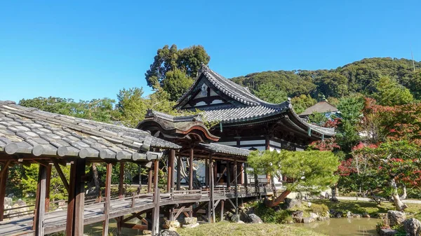 Japonya 'da sonbahar kırmızı akçaağaç yaprakları için Kioto avlanıyor — Stok fotoğraf