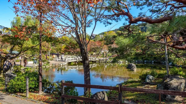 Japonya 'da sonbahar kırmızı akçaağaç yaprakları için Kioto avlanıyor — Stok fotoğraf