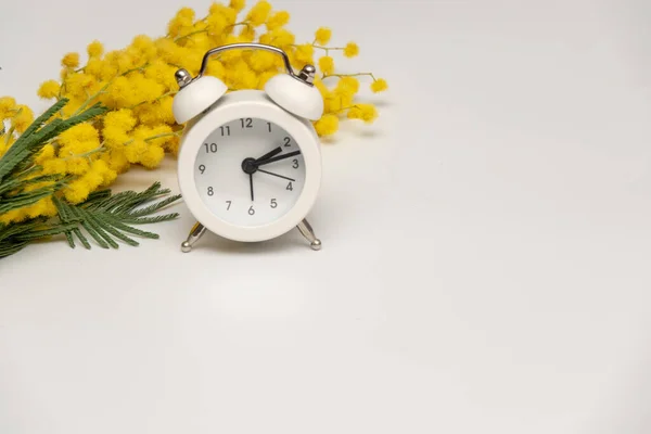 Home decor, mimosa yellow spring flowersalarm clock on the white background — Stockfoto
