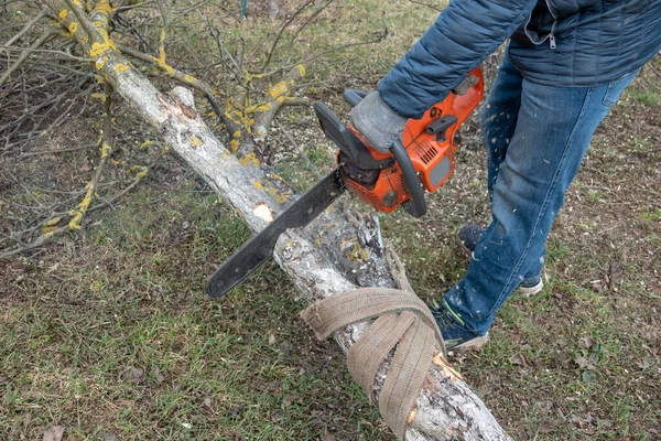 man cutting trees using an electrical chainsaw