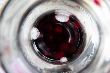 Küflü yakın çekim makro. Küflü mantar. Yumuşak sporlar arka plan ya da doku olarak küflenir. Küf mantarı.