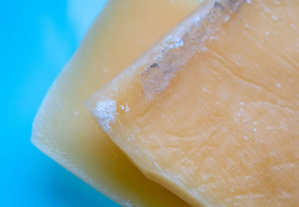 Mold close-up macro. Moldy fungus on food. Fluffy spores mold as a background or texture. Mold fungus.