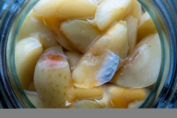 Mold Close Makro Jamur Jamur Pada Makanan Spora Fluffy Cetakan — Stok Foto