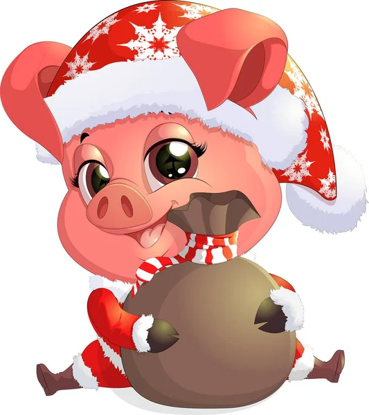 Schwein im Weihnachtsmannkostüm — Stockvektor