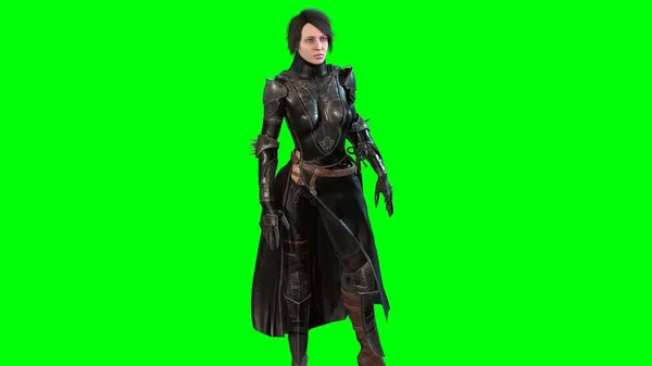 Dark Knight Lady 3d render — стоковое фото