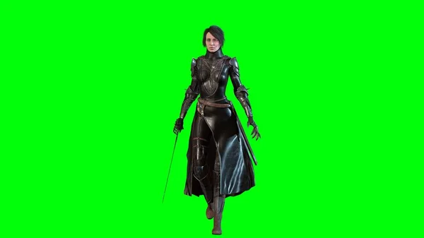 Dark Knight Lady 3d render — стоковое фото