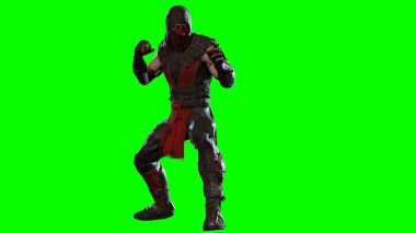 Gelecekçi Ninja 3D görüntüsü