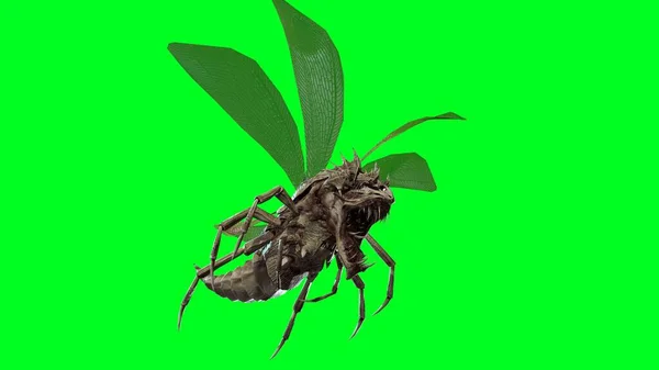 O bug do mal 3d render — Fotografia de Stock
