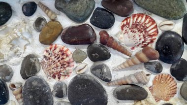 Closeup of seashells and stones pattern, sea theme background 