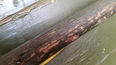 Doğal desenli eski ahşap doku. Klasik ahşap arkaplan