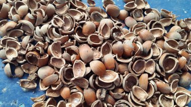 Closeup of nutshells on grunge blue background