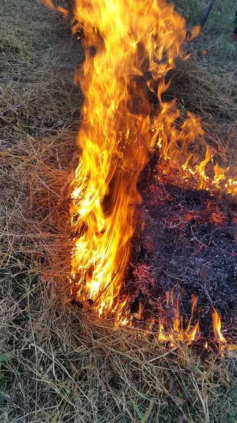 Крупним Планом Вогонь Горить Відкритому Повітрі — стокове фото