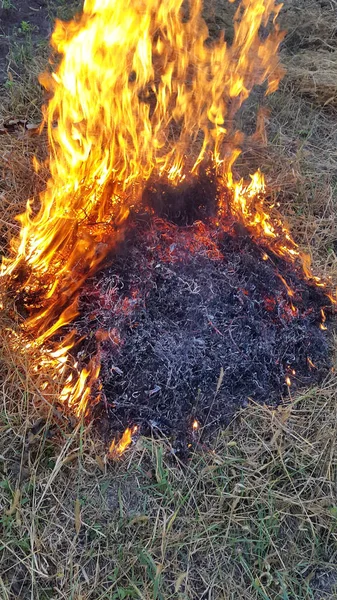 Gros Plan Feu Qui Brûle Extérieur — Photo